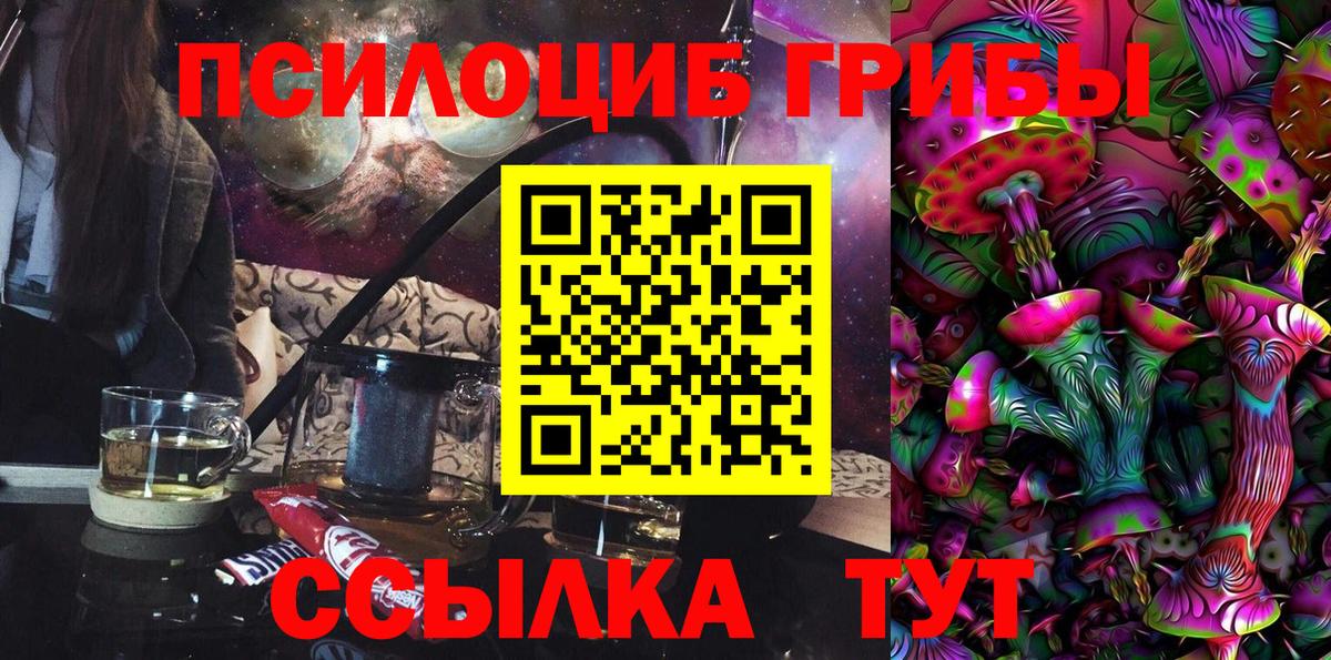 Псилоцибиновые грибы мицелий  Вход с VPN  Буйнакск 